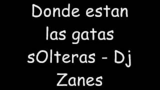 Donde estan las gatas solteras  Dj Zanes y Dj yepa yepa [upl. by Otreblide]