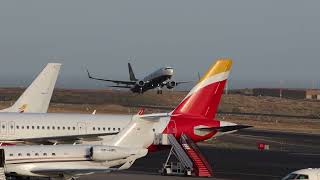 A Spectacular Day Spotting at Tenerife Sur Airport [upl. by Culbert]