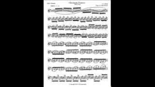 Bach Chromatic Fantasy for solo Clarinet [upl. by Xirtaeb810]