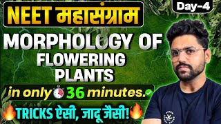 NEET महासंग्राम🔥 MORPHOLOGY OF FLOWERING PLANTS  Neet 2024 [upl. by Ynoffit59]