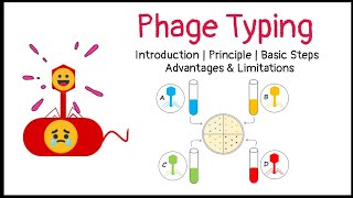 Phage Typing  Introduction  Principle  Basic Steps  Advantages  Limitations [upl. by Llezniuq]