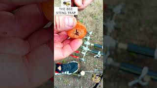 THE BEE STING TRAP trapping trap survival survivaljungletrap metaldetecting trapmaking [upl. by Itsa]