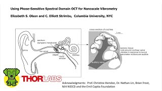 Using PhaseSensitive Spectral Domain OCT for Nanoscale Vibrometry [upl. by Ynattir]