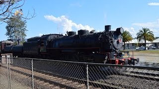 5917 Steam train shuttles Wauchope NSW Lachlan Valley Railway LVR [upl. by Mailand154]