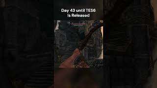 I could do this forever  Day 43 until TES6 is Released skyrim theelderscrolls elderscrolls [upl. by Tham]