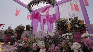 Mohit amp Hina  Lavender Theme  Haldi Ceremony  Bhanwar Singh Palace Jaipur  Devshree Events [upl. by Lowrie]