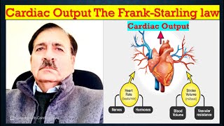 Cardiac Output Cardiac Index FrankStarling law and Bainbridge reflex Lectures by Dr Alamzeb [upl. by Kere]