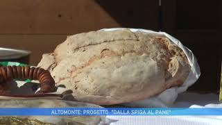 ALTOMONTE PROGETTO DALLA SPIGA AL PANE [upl. by Calvinna]