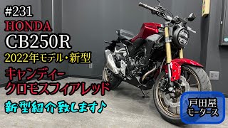 CB250R 2022年・新型レッド紹介！マフラー音もあります♪ [upl. by Anuahsed]