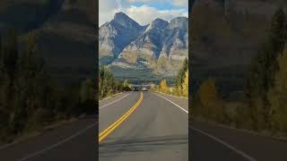 A pleasant drive along the Icefields Parkway Alberta Canada 🇨🇦 IG argenel shorts [upl. by Elleron]