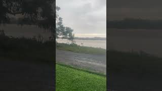 A strange signal on the Hong River when flood water rises to the bridge surface  Yagi [upl. by Yarb]