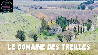 Le Domaine des Treilles vendanges [upl. by Maretz]