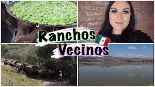 ASÍ SON LOS RANCHOS DE PÉNJAMO GUANAJUATO 🇲🇽😃 [upl. by Ranzini]