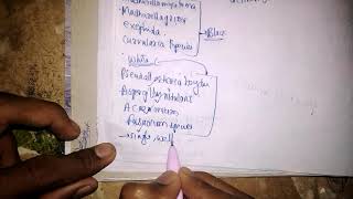 Microbiology of mycetoma [upl. by Suivatram]