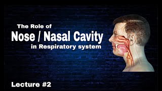 Oral cavity  Nose Role in respiratory system  By AbuBakar Med Plus [upl. by Klarika]