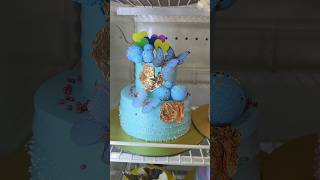 quotCake Decorating Magic You Won’t Believe the Final Lookquotshortsfeed shorts shortcake [upl. by God164]