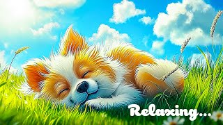 Lofi hip hop mix  Stress Relief Relaxing Music 🍀 beats to sleepstudy [upl. by Simmie949]