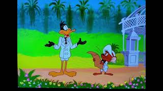 Favorite Scenes in Movies Daffy Duck’s Fantastic Island [upl. by Atnom]