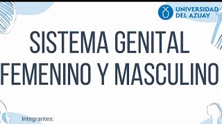 Sistema Genital Femenino y Masculino Anatomía Resumida [upl. by Yelloh]