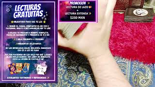 TAROT EN VIVO GRATUITAS Y PAYPAL [upl. by Skilken548]