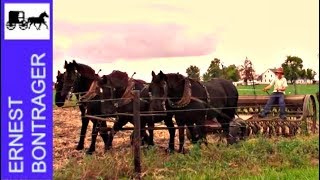 Amish Boy Farmer Planting Wheat [upl. by Riti]