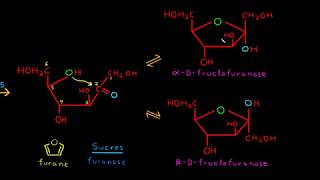 Cyclisation des monosaccharides sucres [upl. by Nojad797]