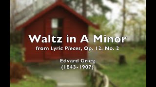 Waltz in A Minor from Lyric Pieces Op 12 No 2 by Edvard Grieg [upl. by Corny]