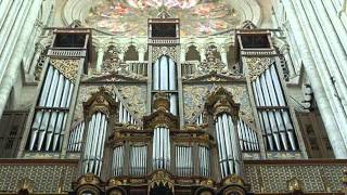 Pipe Organs  Magnificent Instruments [upl. by Nosnah]