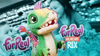 FurReal Friends  FurReal Munchin Rex Official Spot [upl. by Adnauqal]