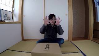 Coomodel Se026 Imakawa Yoshimoto Dragon Armor Unboxing [upl. by Hilleary]