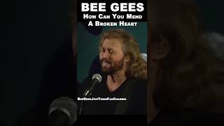 BEE GEES  Live 1997  How Can You Mend A Broken Heart beegees music love jivetubin barrygibb [upl. by Tiernan164]