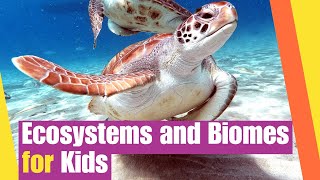 Ecosystems and Biomes for Kids  Earth Science Lesson  Lesson Boosters Science Vdieo [upl. by Arretnahs]