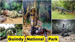 Guindy National parkanimalsreptiles90skidsfoodstorebe8me [upl. by Sivehc152]