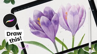 How To Draw Watercolor Crocus Flower • Procreate Tutorial [upl. by Adnahsar779]