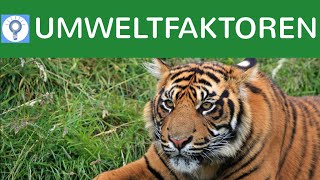 Biotische amp abiotische UmweltFaktoren  Was sind Umweltfaktoren amp Umweltfaktoren im Überblick [upl. by Alia486]