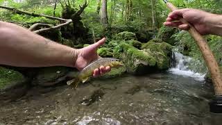 Pêcher la truite en Savoie les Bauges [upl. by Elena]