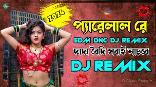 Pyarelal Dj Remix  প্যারেলাল রে  Picnic Dj  Edm Hot Dnc Dj Remix 2024  Dj ABhijit Birbhum [upl. by Leeth684]