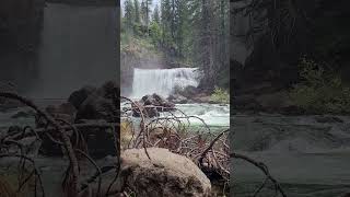 McCloud Waterfalls California [upl. by Oinotnaesoj588]