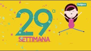 29° settimana di gravidanza [upl. by Dacy]