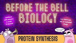 Protein Synthesis Before the Bell Biology [upl. by Biondo]