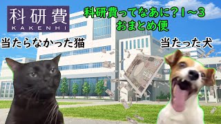 大学研究費の王道！科研費ってなあに？おまとめ便猫ミーム 猫マニ [upl. by Omor]