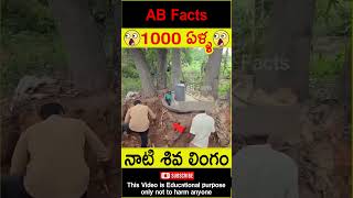 😲1000 ఏళ్ళ😲 1000 years old Siva lingam found in jungle telugufacts shorts youtubeshorts abfacts [upl. by Sawyor]