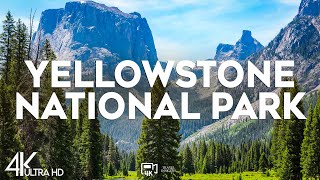 Top 10 Best Attractions in Yellowstone National Park Wyoming  Travel Video 2024 [upl. by Ettelorahc]