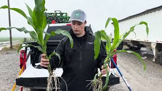 Field Day Plot Update Comparing Growers Standard Treatment to Concept AgriTeks Treatment [upl. by Elset]