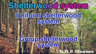 Shelterwood system Uniform shelterwood system and Group shelterwood system [upl. by Meerak915]