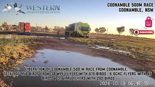 COONAMBLE 500 MILE RACE LIBERATION [upl. by Ecnarual]