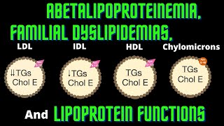 USMLE Step 1 Lesson  75  Lipoprotein Functions Abetalipoproteinemia and Familial Dyslipidemias [upl. by Nolur]