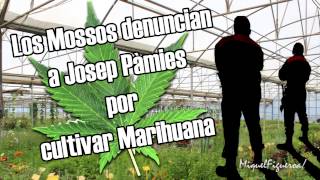 Los Mossos denuncian a Josep Pàmies por cultivar marihuana entrevista [upl. by Kylila]