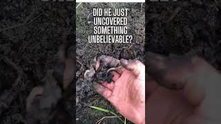 Farmers UNEXPECTED FIND While Digging BareHanded in Mud [upl. by Aihtela]