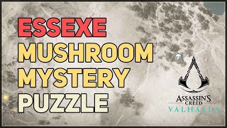 Essexe Mushroom Mystery Hallucination Challenge Fly Agaric AC Valhalla [upl. by Somar]